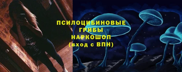 трава Магадан