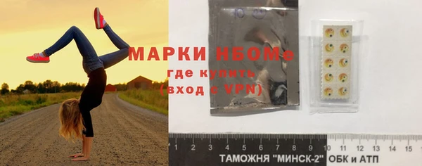 индика Кострома