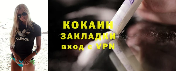 индика Кострома