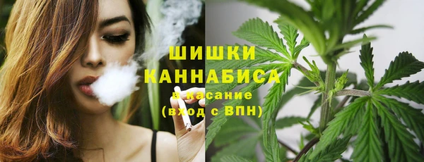 гашик Струнино