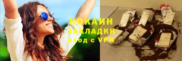 индика Кострома